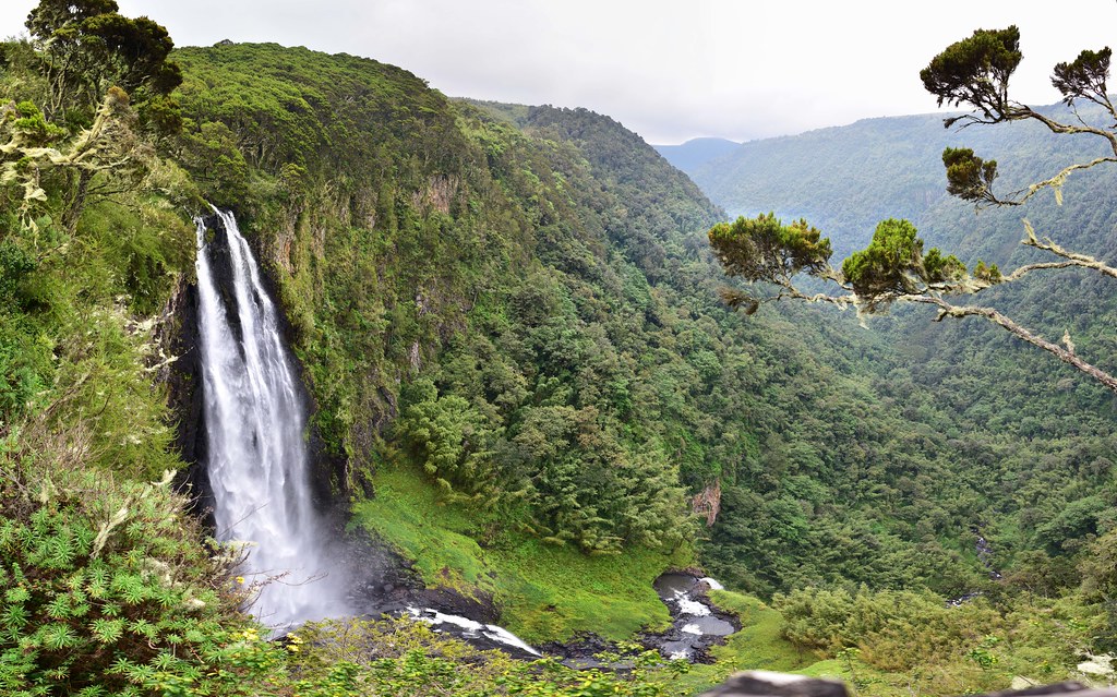 3 Days 2 Nights: Aberdare National Park