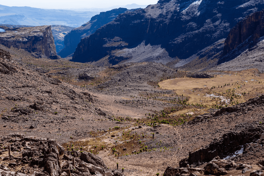 Mount Kenya National Park