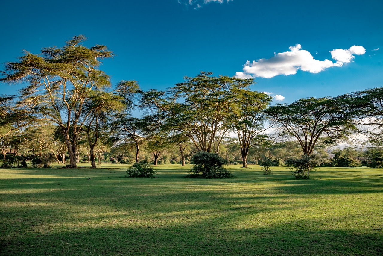 lake naivasha, kenya, africa