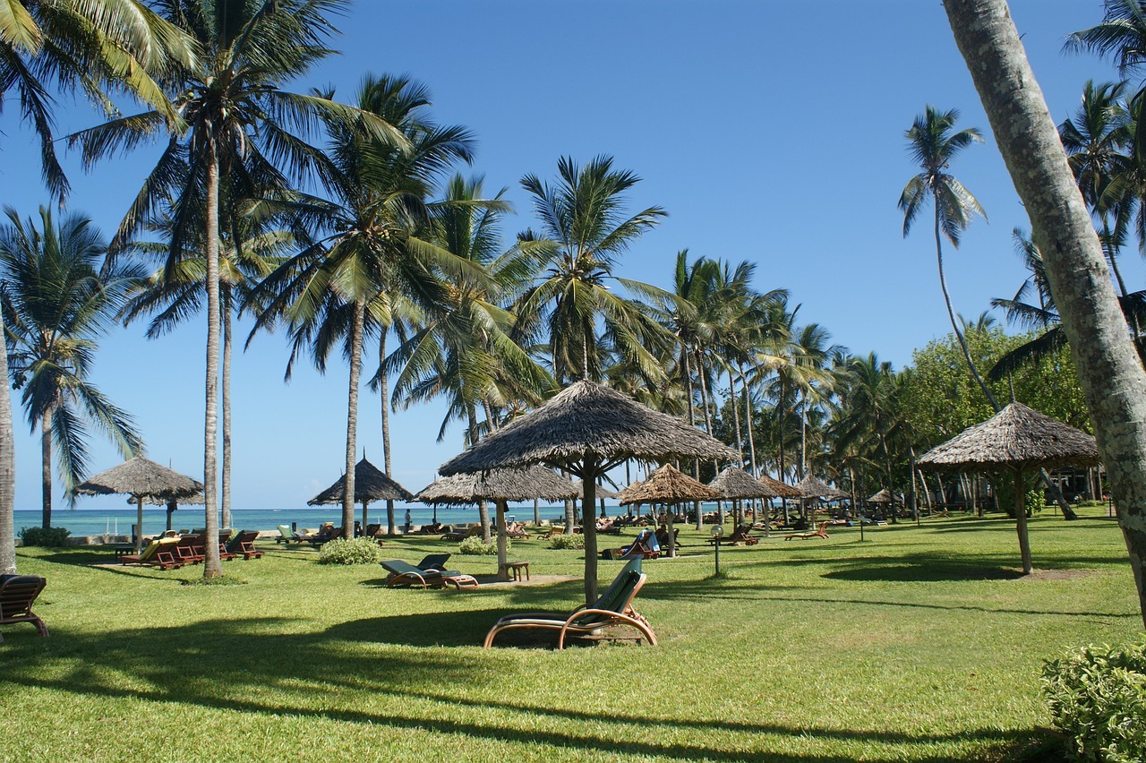 palms, beach, holiday